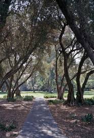 Image result for Village Green 1942 Mercury