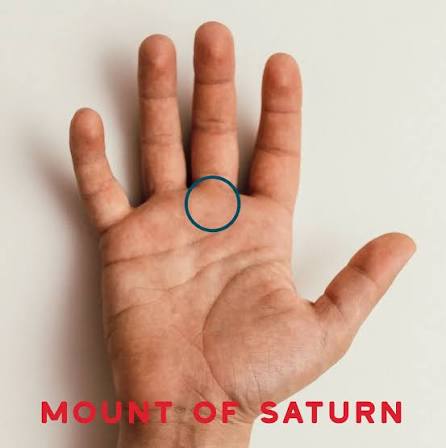 How to Read Palms- The Mounts | SpiritualBlossom
