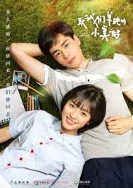 Watch A Love So Beautiful Episode 19 Eng Sub Online In High Quaily V I P 2 It Tells The Love Story Of Two Childhood A Love So Beautiful Drama Taiwan Drama