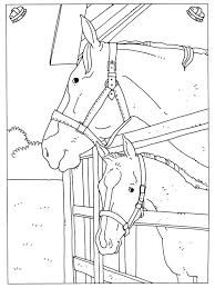 Kids N Fun Kleurplaat Paarden Paarden Kleurplaten Kleurplaten Voor Volwassenen Boek Bladzijden Kleuren