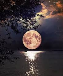 Beach by the sea with mountains and full moon at nighttime.many fishing boats floating in the bay of the sea in southern thailand. Monthly All Access Membership 7 Elevations Scenery Pictures Beautiful Nature