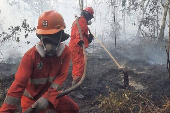 Aparat Gabungan Perkuat Strategi Preventif dan Edukasi Masyarakat Cegah Karhutla