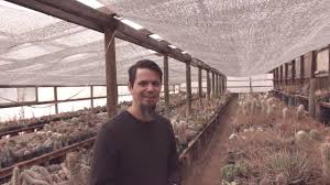 All cacti looking healthy and fat!! Seed Soil Mix For Cacti And Succulents Youtube