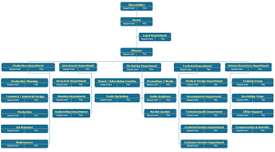 types of organizational structure most essential ones for