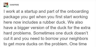We did not find results for: Programmer Explains Why They Keep Rubber Ducks By Their Computers Bored Panda