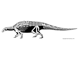 You, my friend, have the makings of a great story. stone, who is a gastonia, by the way, is shaping. Ornithiscians Dinosaur Drawing Prehistoric Creatures Skeletal