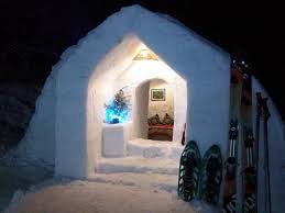 Image result for igloo