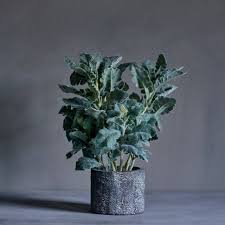 There is, however, a good news: Decor Design Top 4 Australian Interiors Trends For 2021 Houzz Nz