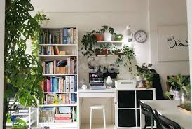 Information provided about siram ( siram ): Pernah Terfikir Kerjaya Sebagai Pengasuh Pokok Tentu Sekali Khidmat Ini Dinantikan Pencinta Indoor Plants I Suke Mstar