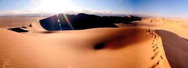 Image result for desert scape