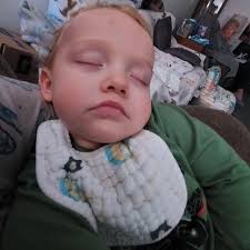 Happy International Melvin Day! 🎉😻🌏🐕🐈‍⬛️🐾📛💳😻🎉 International Melvin  Day is celebrated