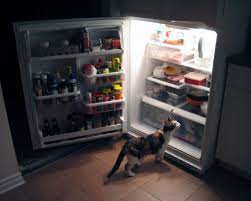 6 Quick Ways To Get Rid Of The Bad Smells In Your Fridge People Food Foods Cats Can Eat Cat Nutrition