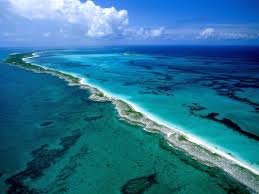Where The Caribbean Meets The Atlantic In Eleuthera Bahamas Barrera De Coral Australia Gran Barrera De Coral Maravillas Naturales