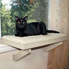 10 Cool Hanging Cat Perch Ideas Tail And Fur Cat Window Perch Cat Perch Cat Window