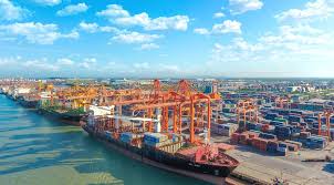 Xôi lạc tv là gì? Ä'an Máº¡ch Cáº¥m Va Háº¡n Cháº¿ Nháº­p Kháº©u Nhá»¯ng Hang Hoa Gi