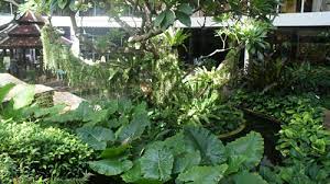 Tropical Garden And Landscaping Tours Thailand Thai Garden Design