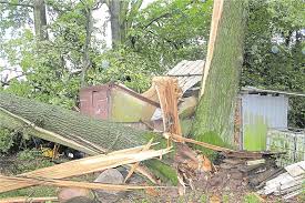 Доставка по всей россии почтой или тк. Meteorologe Halt Tornado Fur Moglich
