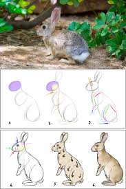 Coloriageetdessins.com vous offre la possibilité de colorier ou imprimer votre dessin lapin à. Comment Dessiner Un Lapin Dessin Lapin Comment Dessiner Un Lapin Dessin D Animal