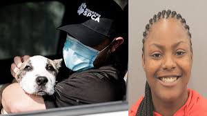 Arrestan a mujer por agredir a cachorro en video publicado en Facebook