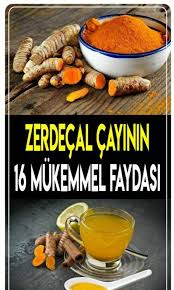 Ismaila Adli Kullanicinin Saglikli Yiyecek Panosundaki Pin Zerdecal Saglikli Yemek Dogal Saglik