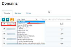Export Domain Information Opensrs Help Support