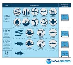 5 6 Ecosystem Based Management Ebm Aquatic Life Lab