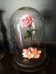 Vintage glass dish flowers for your home and garden. Home Decor Floral Arrangements Leather Rose In Glass Dome Beauty And The Beast Forever Rose