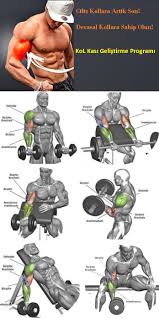 Ileri Seviye Kol Kasi Buyutme Programi Pazi Egzersiz Fitness Programlari Fitness