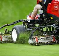 Reel Mowers, Riding Reel Mowers, Walking Reel Mowers | Toro ...