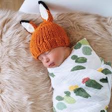 Cape fox federal contracting group (fcg) has the vision to grow, empower, and lead. Little Fox Knit Hat Moon Ty