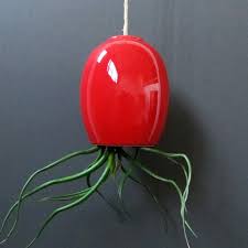 Air plants, or tillandsias, are fun & unusual houseplants. Hanging Air Plant Pod Red 1 5 L X 1 5 W X 3 25 H Mudpuppy Ceramics Touch Of Modern