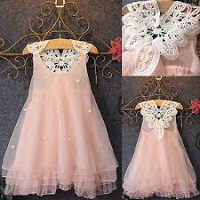 Kinder Madchen Prinzessin Spitze Tullkleid Hochzeit Abend Partykleider Festkleid Tullkleidchen Madchenkleid Kleidchen