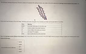 Electrostatic potential maps highlight protein. The Hydrogen Bonding Among Three Strands Is Shown Chegg Com