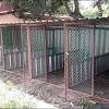 Buatlah kandang ayam yang sesuai dengan ukuran ayam. 1