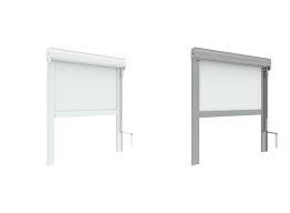 Tenda a rullo con box per la protezione del telo con bracci a sporgere. Scegliere Le Tende A Rullo Per Esterno Filtranti Oppure Oscuranti Blog