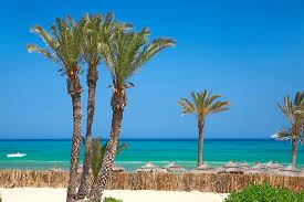 Compare prices & save money on tripadvisor (the world's largest travel website). Djerba Tipps Fur Euren Urlaub Auf Der Tunesischen Insel