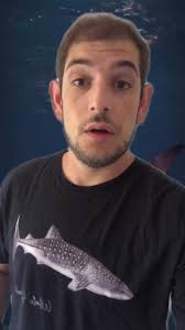 Cenas inéditas de um tubarão baleia parindo um filhote. #shark #tubarao  #whaleshark #tubaraobaleia #animais #bichos #curiosidades #bio #biologia  #aprendanotiktok #tiktokmefezassistir