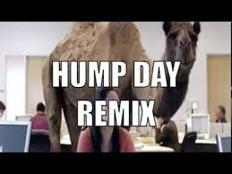 Geico hump day camel commercial happier than a camel on wednesday. Geico Hump Day Commercial Happy Camel Dubstep Remix Youtube