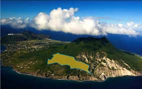 Image result for Staudtia