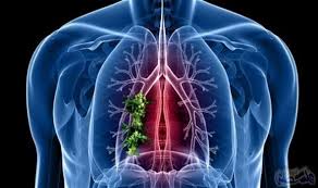 pin on health صحة وتغذية