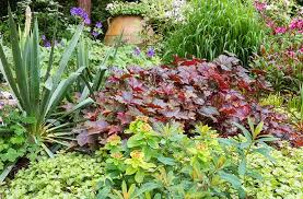 Pentas is relatively deer resistant. Deer Resistant Design Fence Free Garden Solutions Joe Gardener