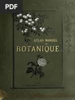 Image result for Tridactyle scottellii