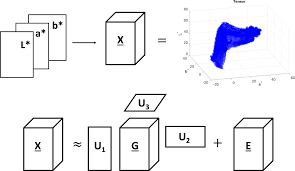 tensor decomposition for colour image segmentation of burn