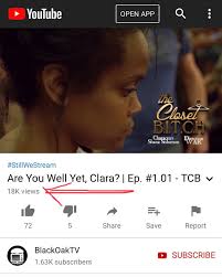 Shana Solomon's The Closet Bitch