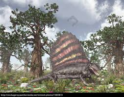 Dimetrodon and other fossil species tend not to have common names, but some have nicknames. Pelycosaurier Dimetrodon Lizenzfreies Bild 15833813 Bildagentur Panthermedia