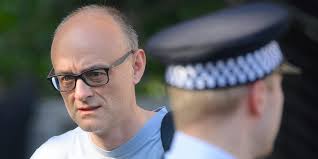 Dominic cummings said he and the prime minister had been told 'categorically in march that dominic cummings said boris johnson was 'unfit' for the job of prime minister and hit out at the. Nk Tnoudkd0fjm