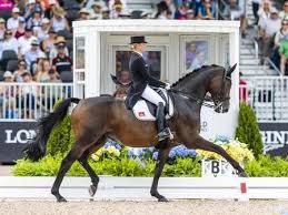 Windfall mit boyd martin und vandiver v. Dressur Kur Von Bredow Werndl Reitet In Munchen Zum Sieg