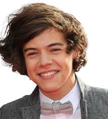 Harry Edward Styles PNG Image File