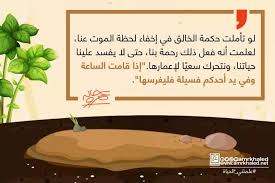 علمتني الحياة لو تأملت حكمة الخالق في إخفاء لحظة الموت عنا لعلمت هذا الأمر الهام