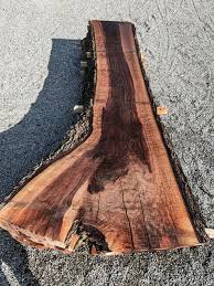 Image result for Noyer Americain 2011 Citroen